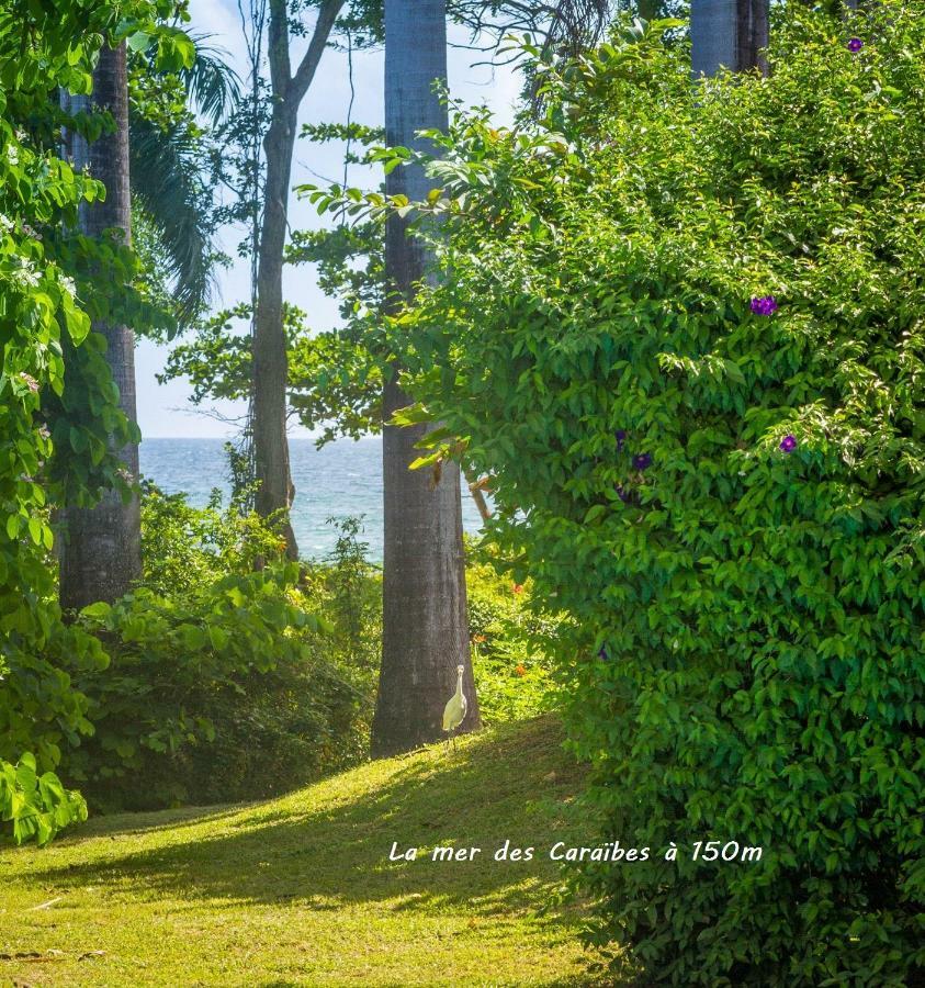 Villa Cezanne Sainte-Rose Eksteriør bilde